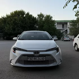 Toyota Corolla 2021