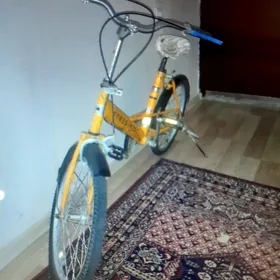 Ýapon tigir