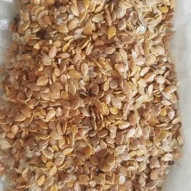BAL KEDI TOHUM