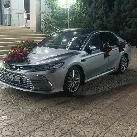 Toyota Camry 2024