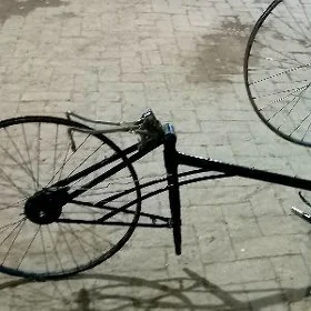 velsepet. 26