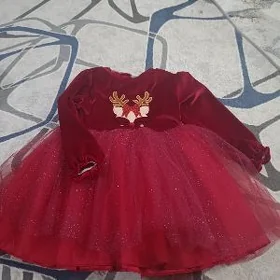 caga ors koynek