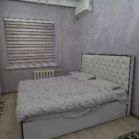 Arenda jay 11 Mkr