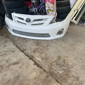 carolla onki bapir