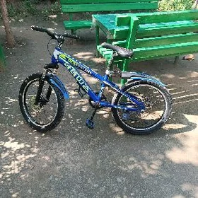 tigir
