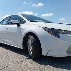 Toyota Corolla 2024