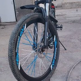 tigir