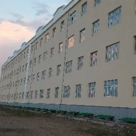 anew polelitka