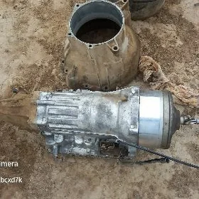mark  2 lik   karopga   zapjas