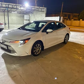 Toyota Corolla 2021