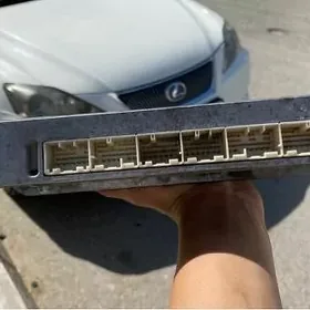 lexus kompyuter