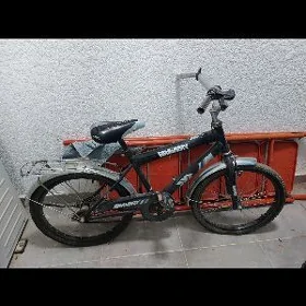 kama tigir