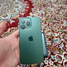 iPhone 13pro