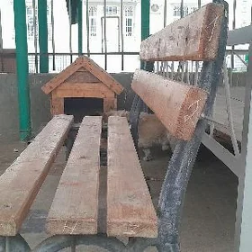 Skameyka