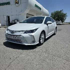 Toyota Corolla 2024