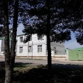 Gökdepe eñkewede kottež jaý
