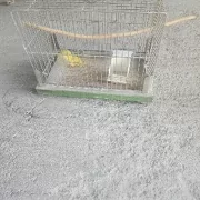 клетка для попугая