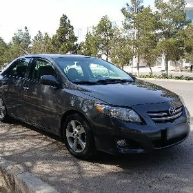 Toyota Corolla 2010