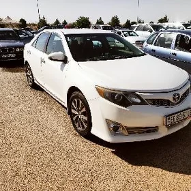 Toyota Camry 2013
