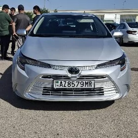 Toyota Corolla 2024