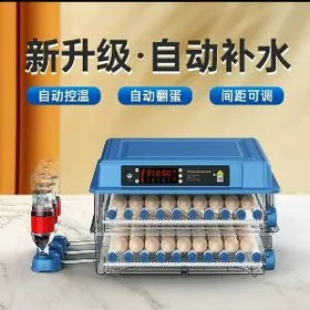 inkubator