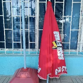 Uly zontik