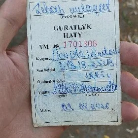 техпаспорт