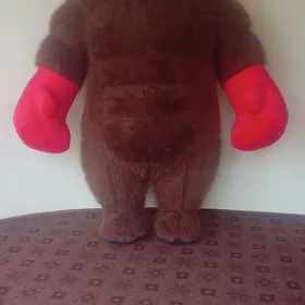 mişka aýi