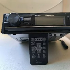 pioneer delfin