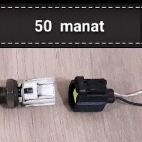 Datçik temperatura