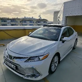 Toyota Camry 2019