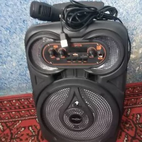 GTS_1718 BASS BOCKA