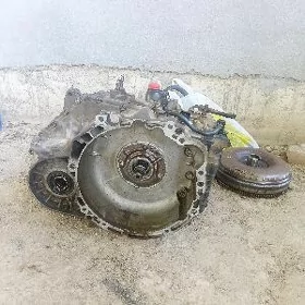 Kia karopga.