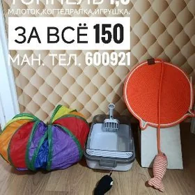 Лоток,туннель для кошки