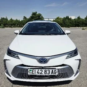 Toyota Corolla 2025
