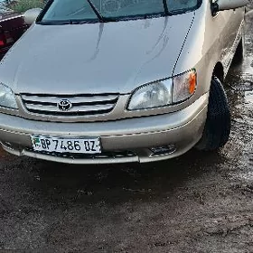 Toyota Sienna 2002