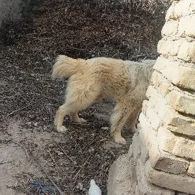 it