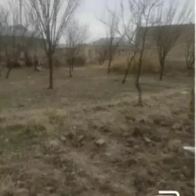 Daça