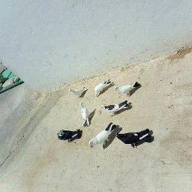 Kepderi