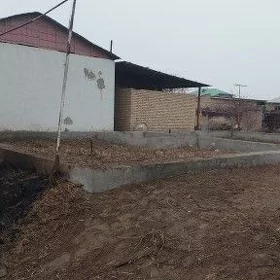 ZATON DAÇA