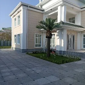 Çoganly Çyzgy Kottez Yewro Ful