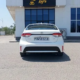 Toyota Corolla 2021