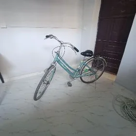 wepsepet yaponya tigir