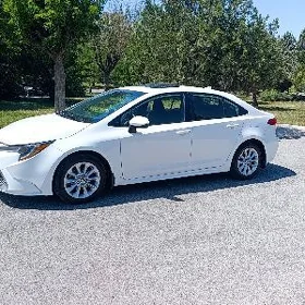 Toyota Corolla 2019