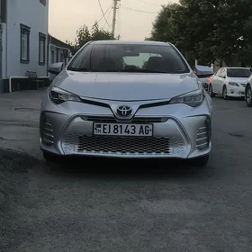 Toyota Corolla 2019