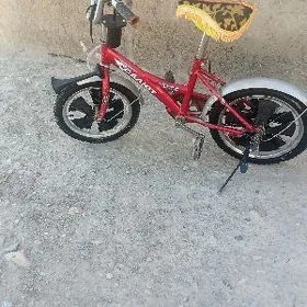 salyut