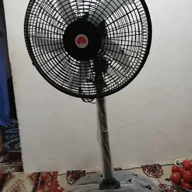 wintlýator  4 taraplaýyn