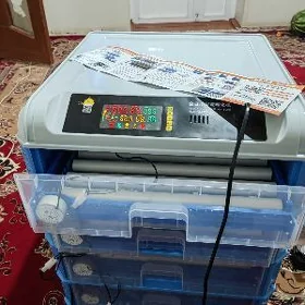 Inkubator 256 yumurtgalyk