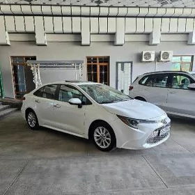 Toyota Corolla 2020