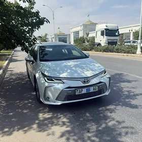 Toyota Corolla 2019